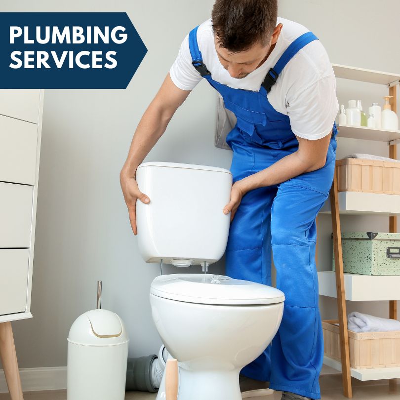 Plumbing Company in Lake Zurich, IL